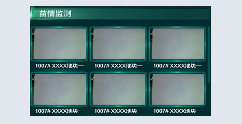 苗情监测.jpg